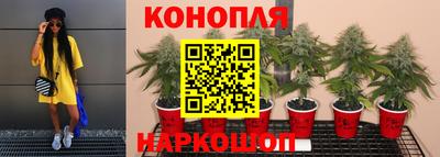 mdpv Нальчик