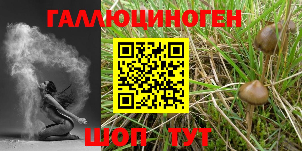 Псилоцибиновые грибы Psilocybine cubensis  Вход с VPN  Химки  Псилоцибиновые грибы ЛСД 