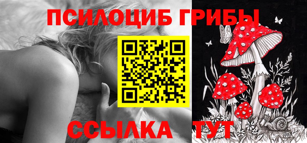 Галлюциногенные грибы Magic Shrooms Химки
